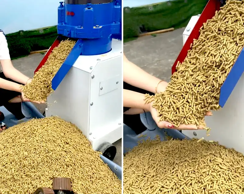 Công ty cơ khí Bình Quân