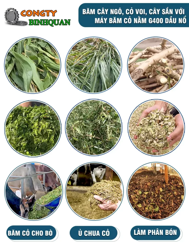 Công ty cơ khí Bình Quân