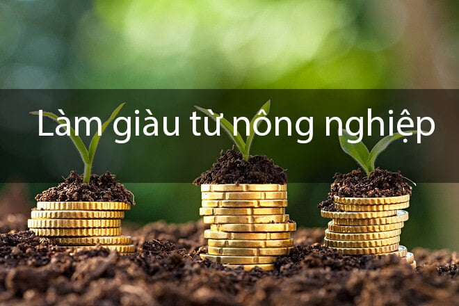 Chàng thanh niên làm giàu từ mô hình trang trại chăn nuôi  Báo Đắk Lắk  điện tử