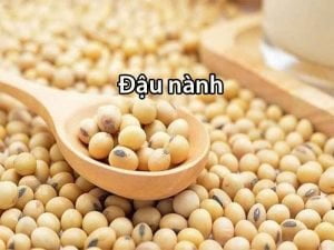 cách chọn hạt đậu nành