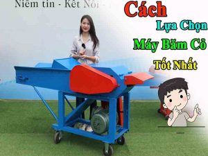 cách lựa chọn máy băm cỏ